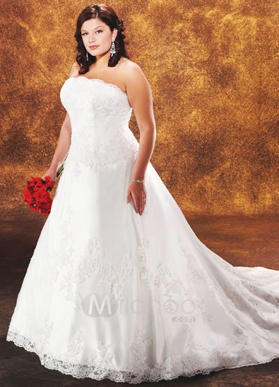 Lace Elegant White Aline Embroidery Satin Organza Plus Size Wedding Dress