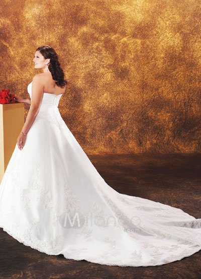 Lace Elegant White Aline Embroidery Satin Organza Plus Size Wedding Dress