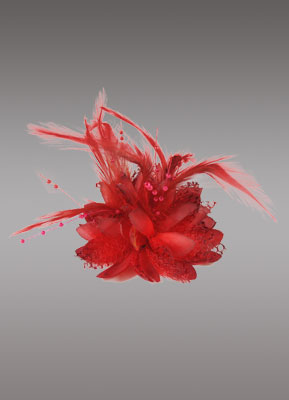 Wedding Accessories