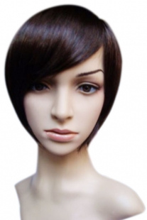 Women's Brown 20cm Short Straight Wig