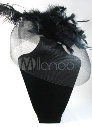 Elegant Black Net Feather Veil