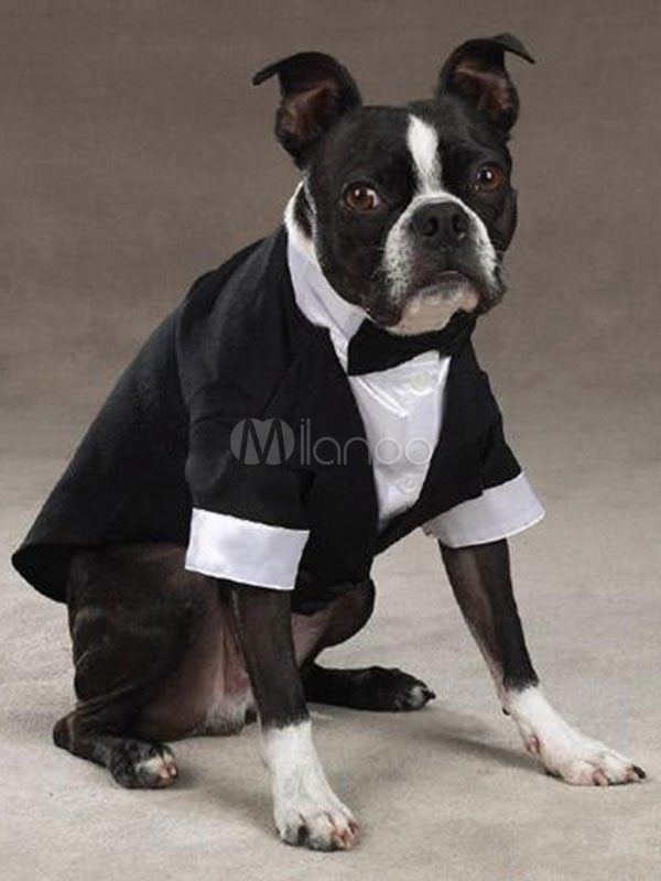 Dogs' Tuxedo Shirt Bow Tie Color Block Pets' Two Legged Clothing Halloween (Costumes Pet Clothes) photo
