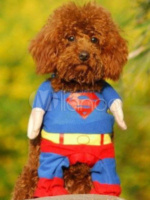 dog costumes