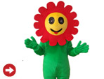 Mascot Costumes