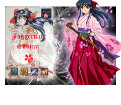 Samurai Warriors