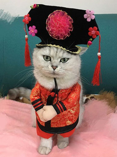 Image of Carnevale Costumi per Animali Domestici di regii in raso rossi top&cappello per gatti per cani Stile cinese Halloween