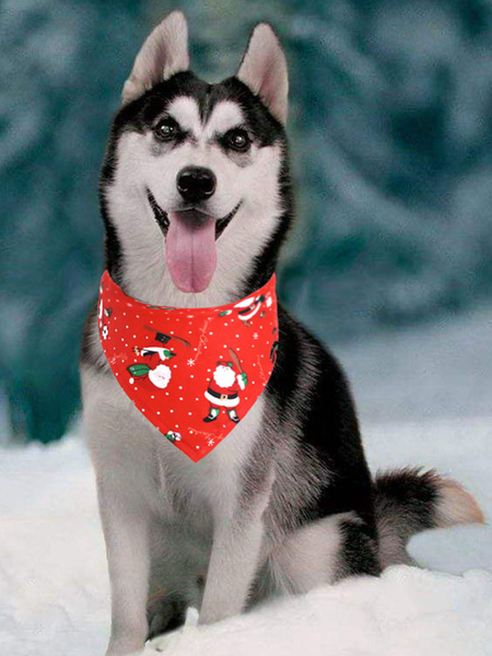 Image of Sciarpa animale deltoidale per abbigliamento natalizio in poliestere rosso per cuccioli di Natale